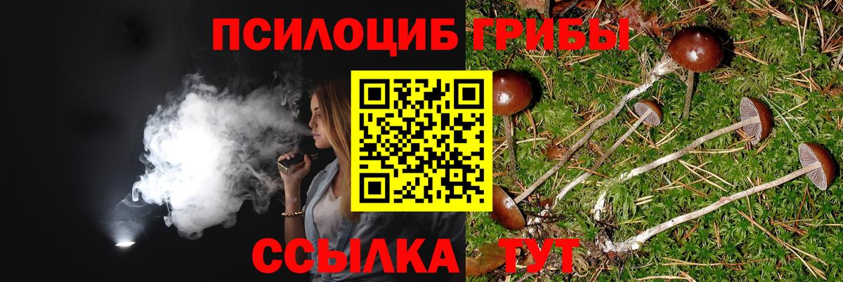 Галлюциногенные грибы ЛСД Сарапул