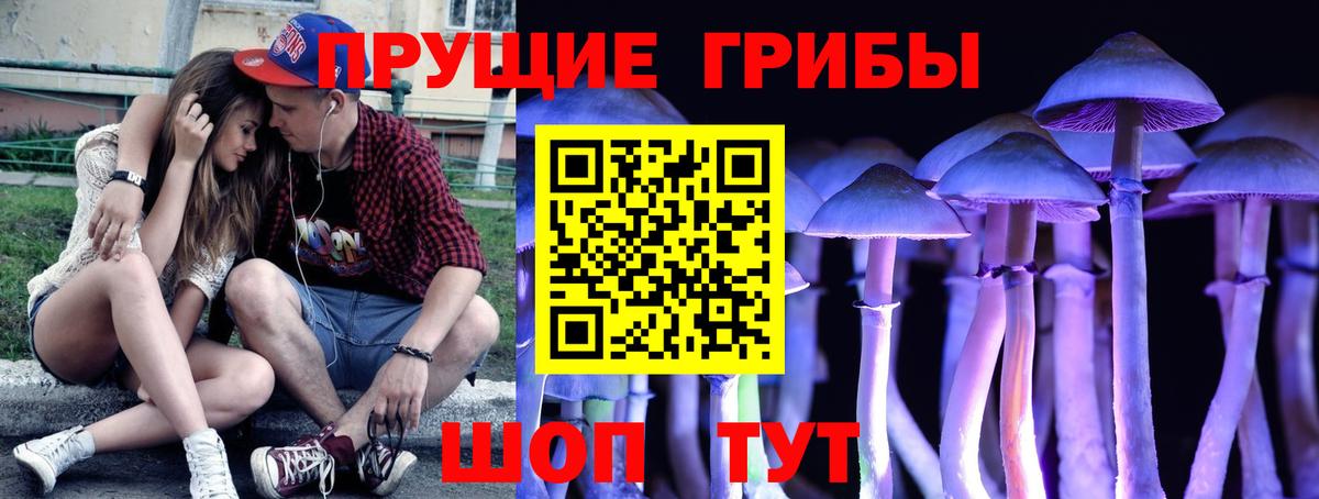 Галлюциногенные грибы мицелий  Вход с VPN  цены наркотик  Сарапул 